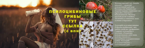 мяу мяу мука Тихорецк