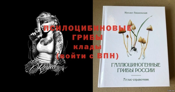 мет Тихвин