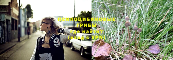 мет Тихвин