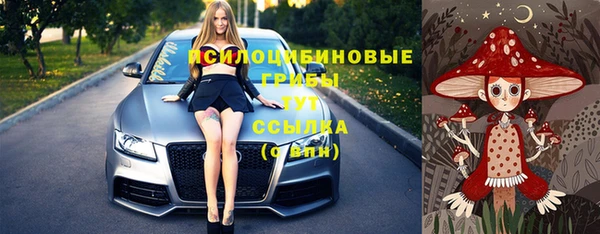 бошки Тобольск