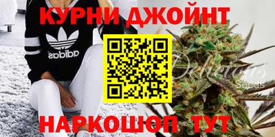 мдпв Гусев