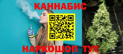 мдпв Гусев