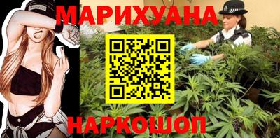 сатива Бийск