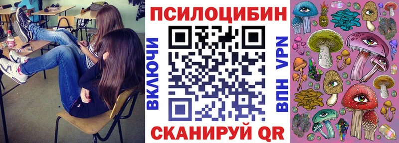 Псилоцибиновые грибы Magic Shrooms  где купить наркоту  Новокузнецк 